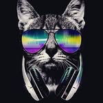 Declan Palmer - @mtlf_2005 - Instagram