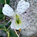 Declan Palmer - @declanpalmer6652 - Instagram
