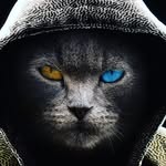 Declan palmer - @declan6233 - Instagram