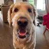 declan.palmer37 - @declan.palmer37 - TikTok