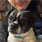 Declan Peters - Facebook