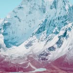 Declan Peterson - @declan_peterson - Instagram