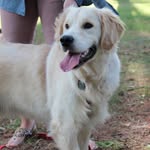 Declan Westin Pierce - @lifesgoldenasagolden - Instagram