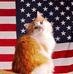 Declan Power - Facebook