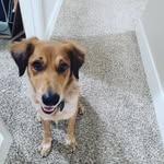 Declan Ramirez - @niko_leako - Instagram