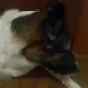 deklanramirezz - @deklanramirezz - TikTok