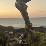Declan reed - @declan8081 - Instagram