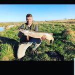 declan reed - @reeddeclan - Instagram