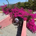 Declan Richards - @decr04 - Instagram