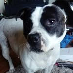 Declan Richards - @declan_richards7790 - Instagram