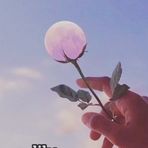 Declan Richardson - Facebook