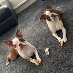 Declan Riley - Facebook