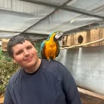 Declan Robinson - Facebook