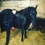 declan rose - @declan_rose13 - Instagram