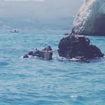 Declan Rossi - @declan_rossi - Instagram