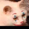 Declan Ryan - @declan.ry - TikTok