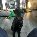 Declan Sanderson - @declan.sanderson - Instagram