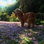 Declan Sheppard - Facebook