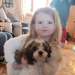 Declan Shiels - @declanshiels - Instagram