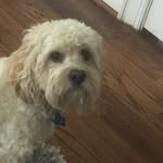 Declan Sweeney - @declan9120 - Instagram