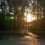 Declan Wall - @ducklanw - Instagram