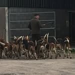 Declan Wallace - @declanwallace65 - Instagram