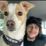 Declan - @declan__williams - Instagram