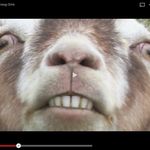 Declan Williams - @declan.williams.520 - Instagram