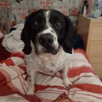 Declan Woods - Facebook