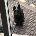 Declan Wright - Facebook