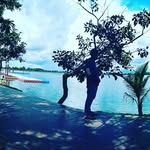DEDE GEORGE@0076 - @dede_george0076 - Instagram