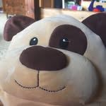 Dede Green - @dedegreen6 - Instagram