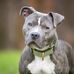 Dede Grey - Facebook