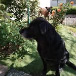 Dede Haas - @dedehaas67 - Instagram