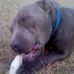 Dede Jenkins - Facebook