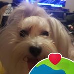 DeDe Johnson - @djohnsond1 - Instagram