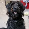 Dede Jones - @dede.jones048 - TikTok