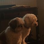 Dede Kelly - @dedekelly8497 - Instagram