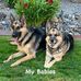 Dede Kelly - Facebook