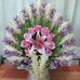 Dede Lay - Facebook