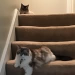 DeDe Lindquist - @dedelindquist - Instagram