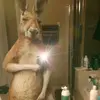 Dede Louis - @dede.louis2 - TikTok