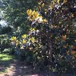 Dorothy McClain - @dedemcclain68 - Instagram