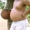 Dedek Moses - @dedek.moses - TikTok