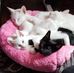 Dede Parker - Facebook