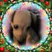 Dede Patterson - Facebook
