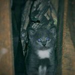 Dede Walters-Reddish - @dedereddish - Instagram