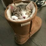 dederobert - @deder304 - Instagram