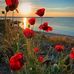 Dede Robinson - Facebook