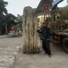 Dede simso - @dede.simso - TikTok